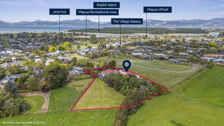91 Aranui Road Mapua_1