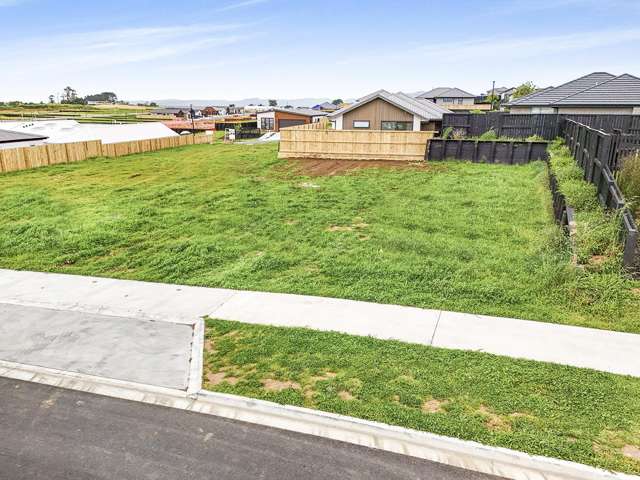 22 Harp Street Morrinsville_2