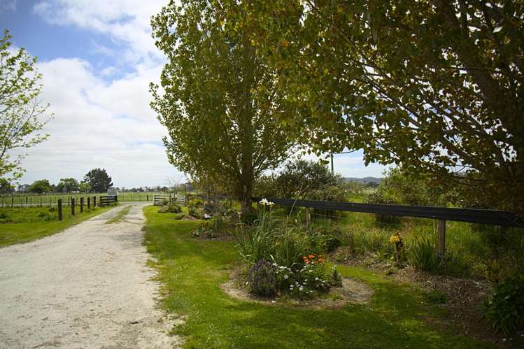37 Te Pua School Road Helensville_23