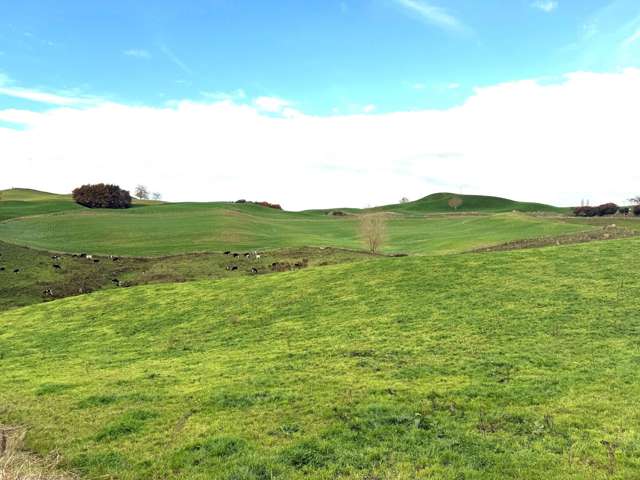 Overdale Road Putaruru_2