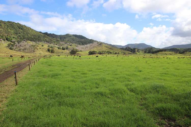 2418 Kaitaia Awaroa Road Herekino_6