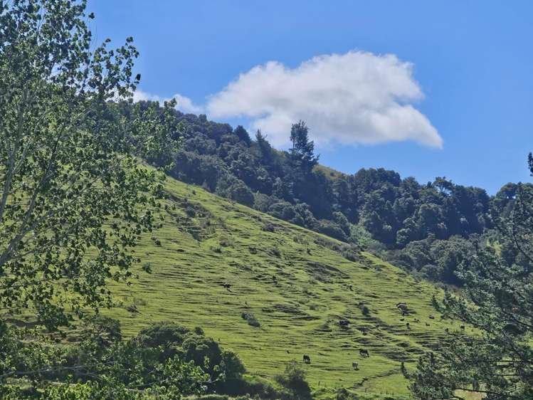 160 Te Rore Road Kaitaia_8