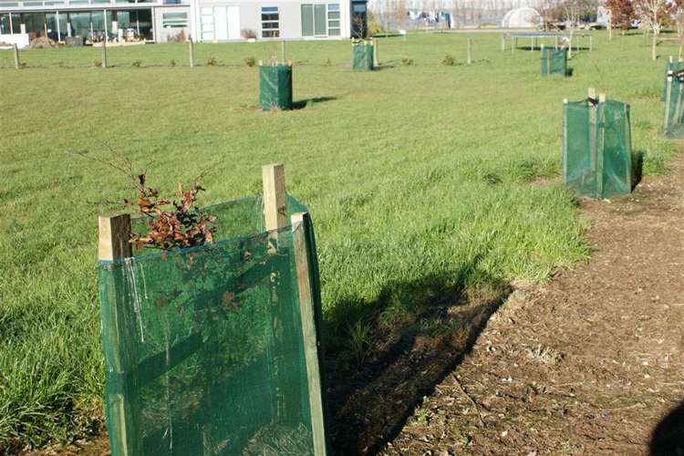 52 Spittles Way Gore_5