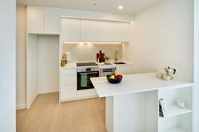 603/10A Alpha Street Te Aro_3