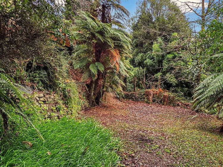 14 Utuhina Road Springfield_25