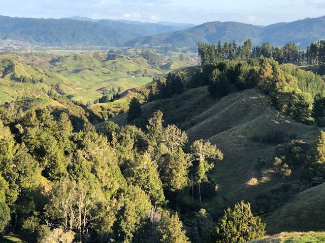 1207B Stanley Road Waimana_4