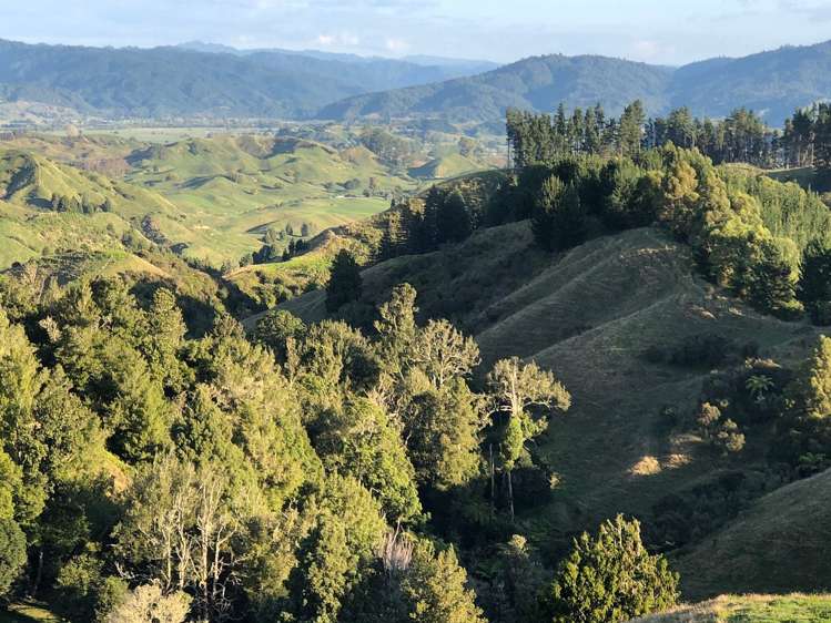 1207B Stanley Road Waimana_4