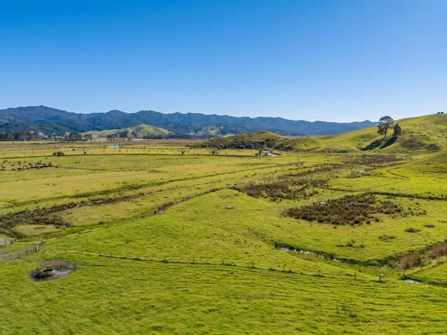 Lot 1 Proposed Subdivision of 157 Sh25 Te Rerenga_4