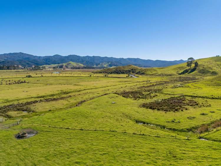 Lot 1 Proposed Subdivision of 157 Sh25 Te Rerenga_5