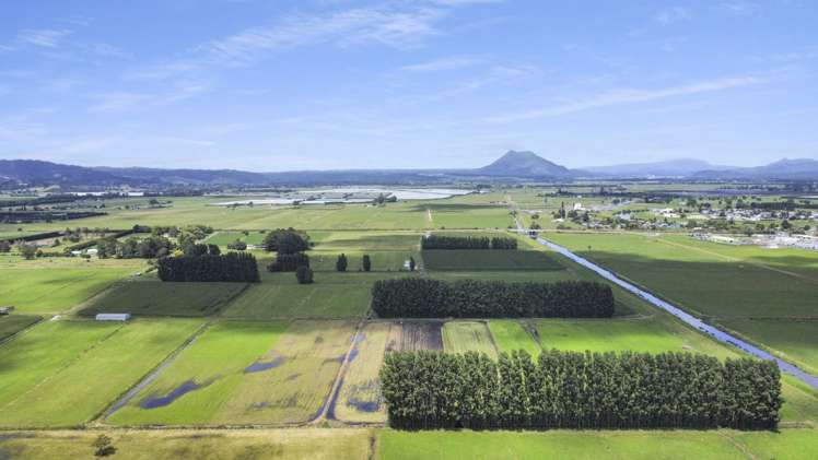 434-454 Awakeri Road Edgecumbe_6