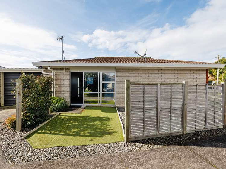 48A Livingstone Avenue Nawton_0