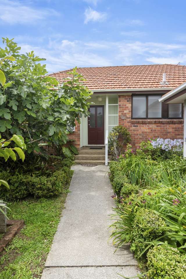 39 Armein Road Panmure_1