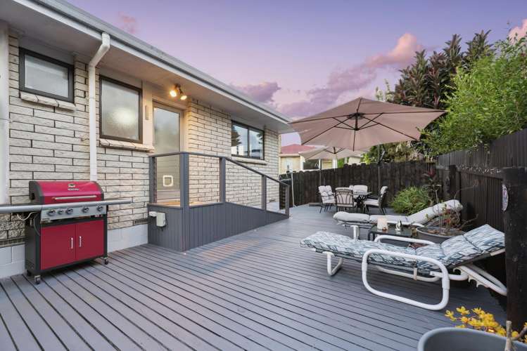 46 Princess Road Bellevue_13