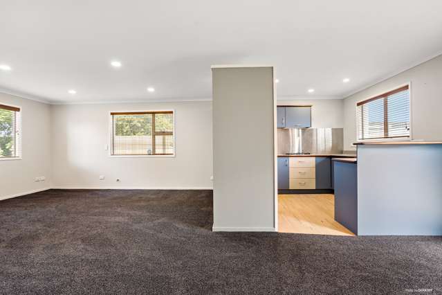 29a Claudelands Road Hamilton East_2