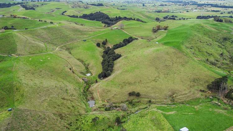 364 Quine Road Tahuna_7