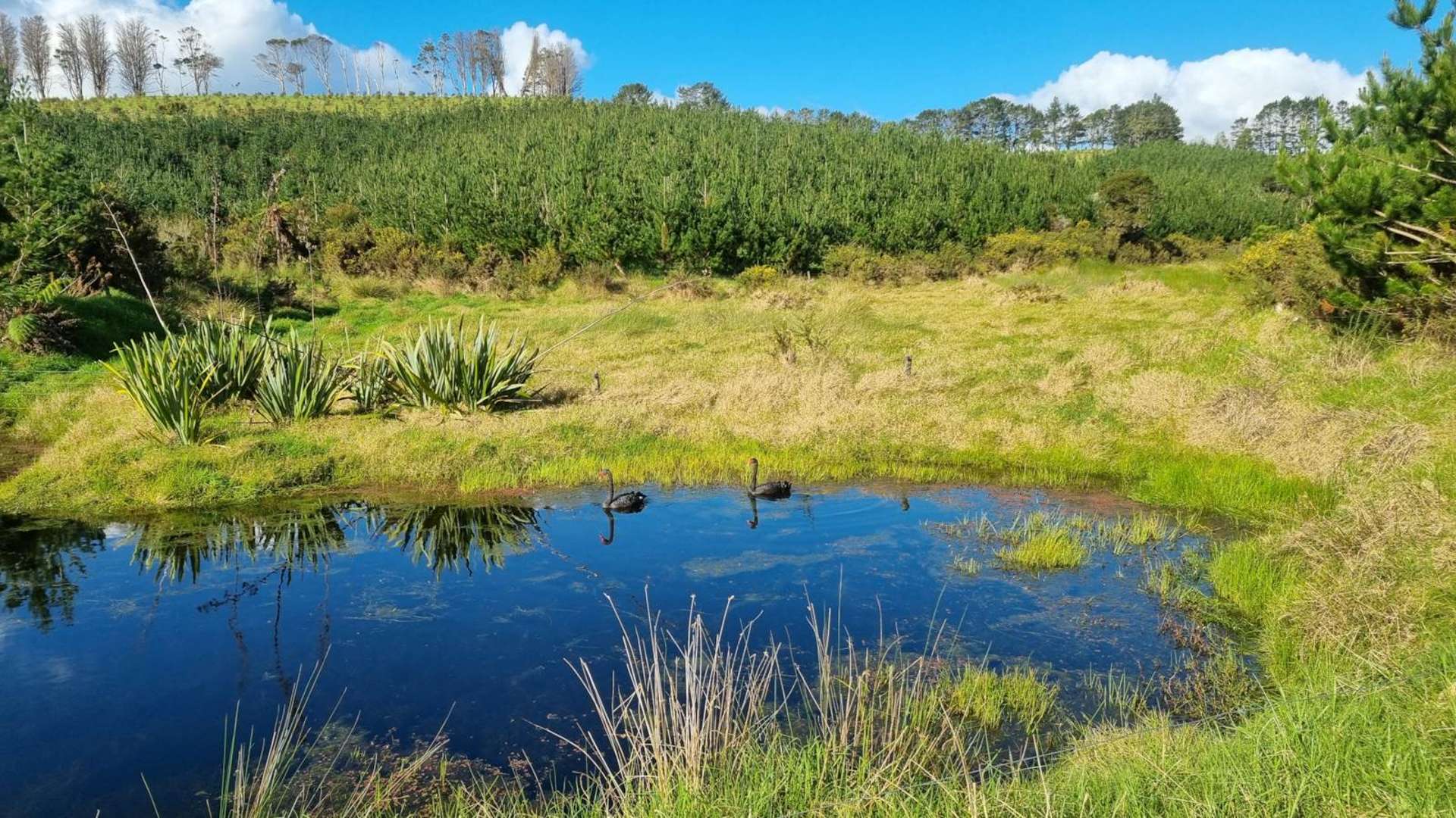 27 Riddell Road Kerikeri_0