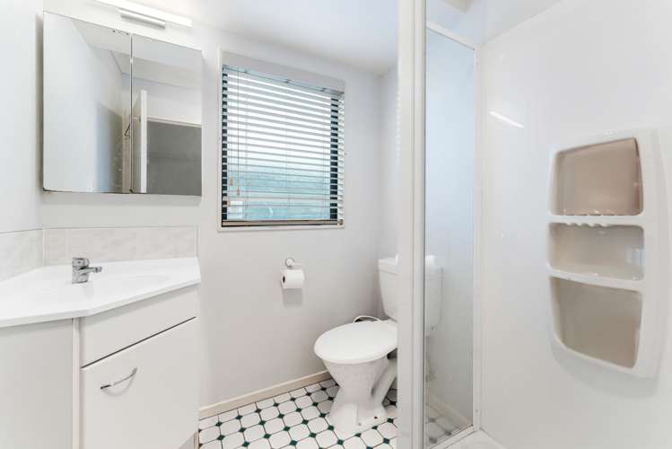 29 Carisbrook Crescent Papakura_9