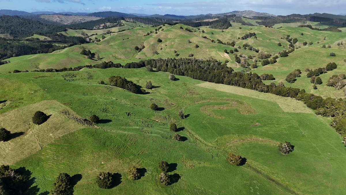 30C Te Ranga Road_5