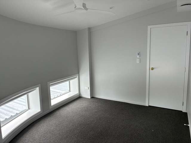 29A Douglas McLean Avenue Marewa_3