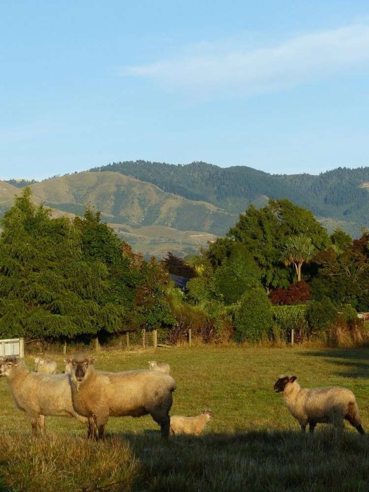 192 High Street Oxford_10