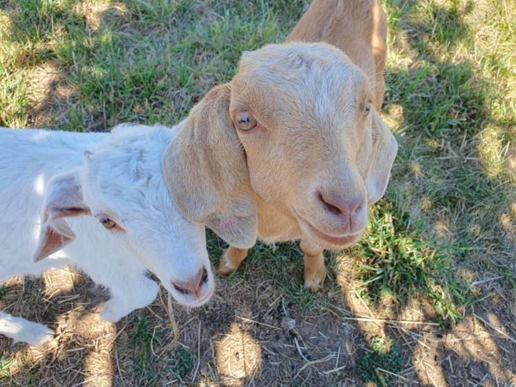 221 Depot Road Oxford_23