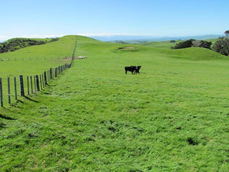 139 Clay Creek Road Ruakokoputuna_17