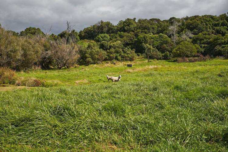 100 Factory Road Hapuku_34