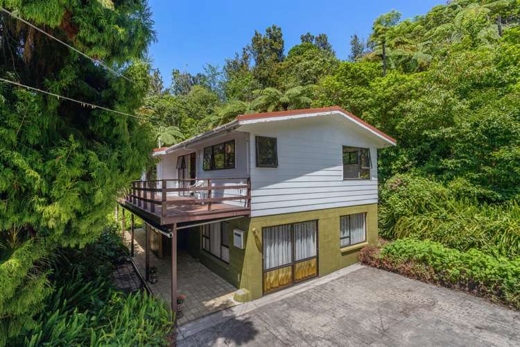 1 Bridger Glade Whakatane_0