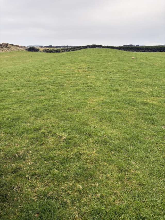 772 Orepuki-Riverton Highway Tihaka_2