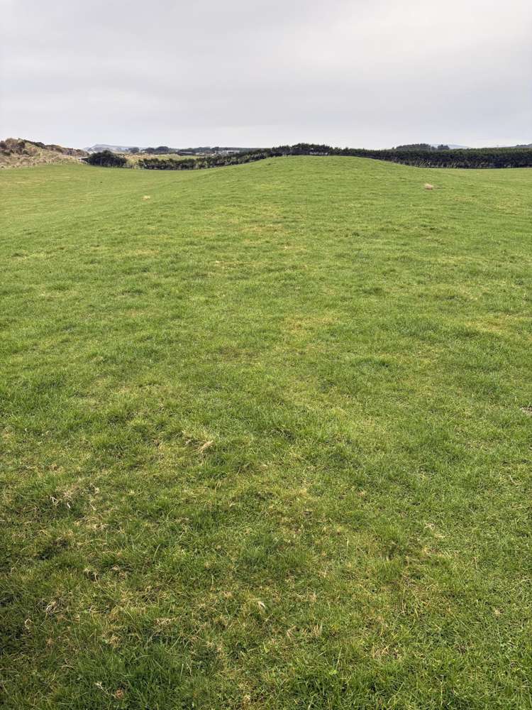 772 Orepuki-Riverton Highway_2