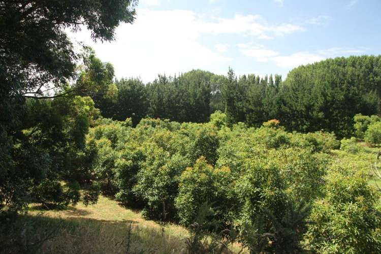 44 Te Ngaio Point Road Tapora_12