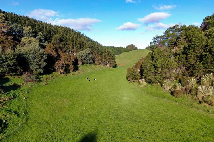 Maniatutu Road Pongakawa_27