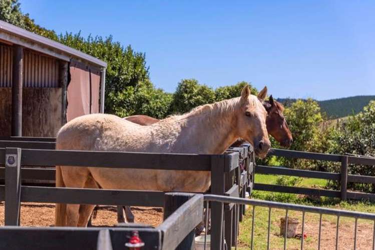 135B Hutchinson Road Helensville_46