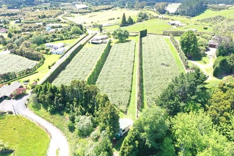 221 Pukemapu Road Oropi_15