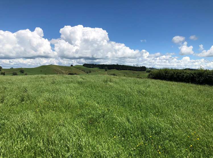 1564 State Highway 31 Kawhia Road Otorohanga_8