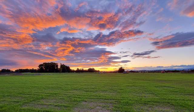 Copper Beech Estate Woodend_3