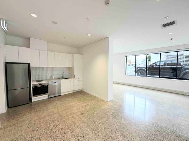 6 Nixon Street Grey Lynn_4