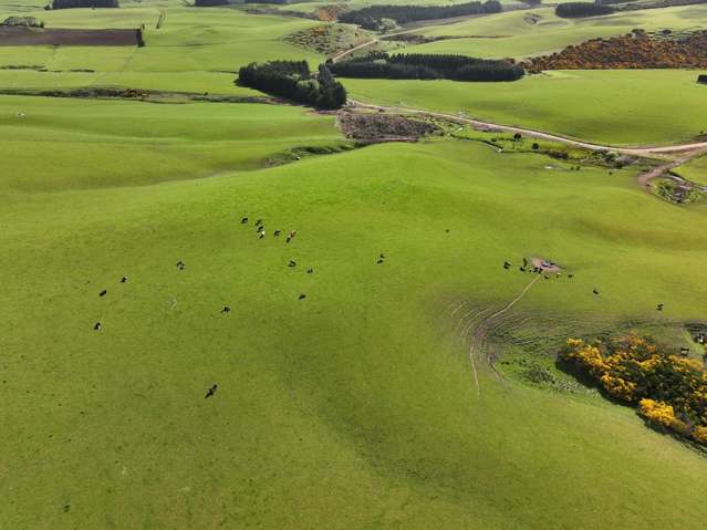 3075 Old Coach Road Clinton_1