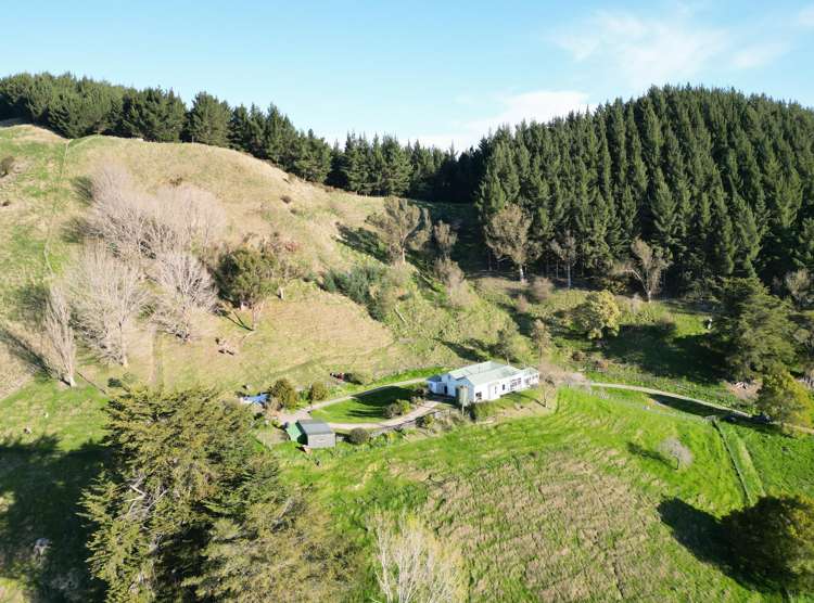 172 Kaukatea Valley Road Okoia_12