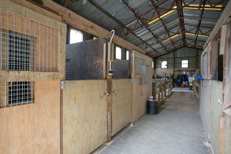 2/295 Roberts Road Cambridge_8