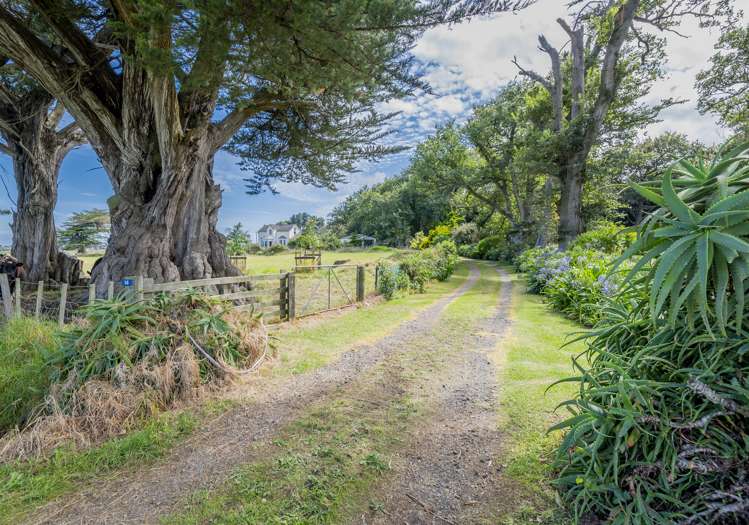 14 Howan Street Foxton_5