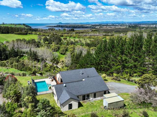 53C Woodland Road Katikati_3