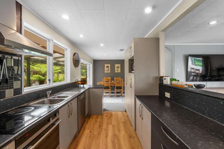 18 Steam Hauler Track Waitakere_9