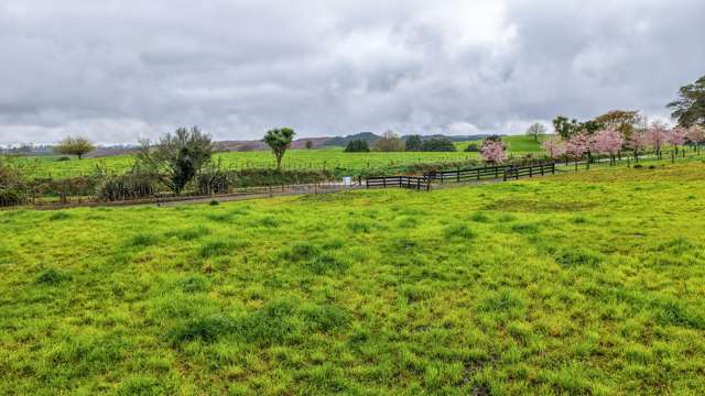 Pine Road Putaruru_1