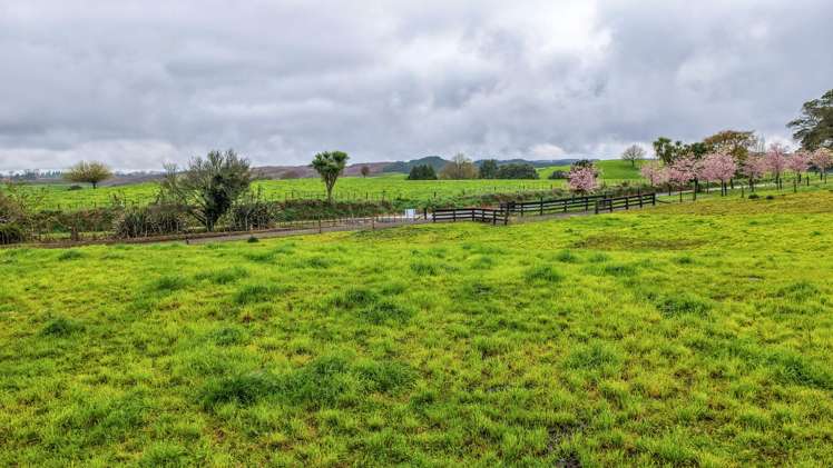 Pine Road Putaruru_1