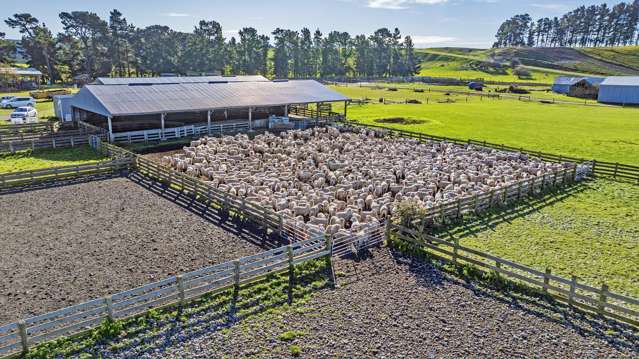 675 Rakaia Terrace Road Te Pirita_3