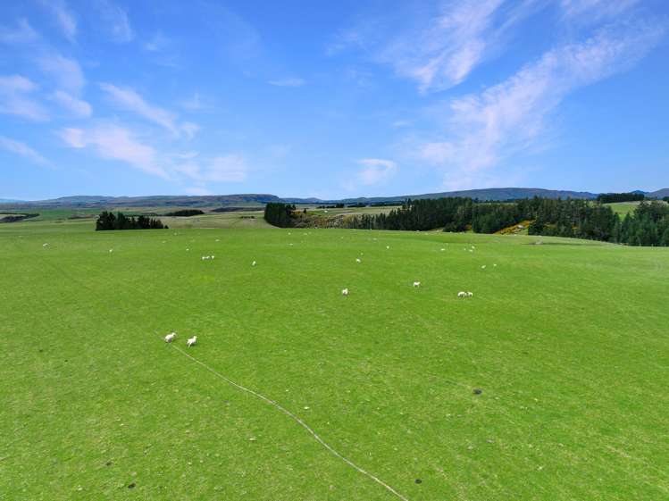 267 (Farm) Wehenga Road Hindon_4