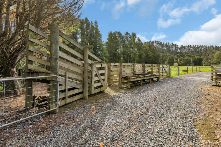 137 Harris Road Glenbervie_10