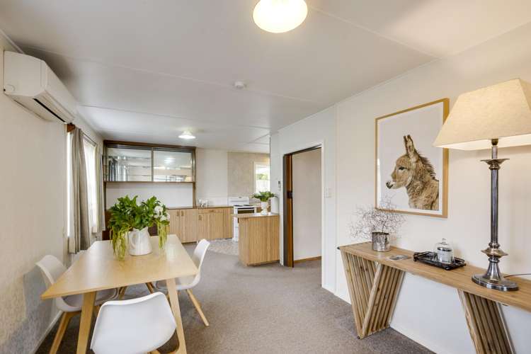 50 Tavistock Road Waipukurau and Surrounds_4