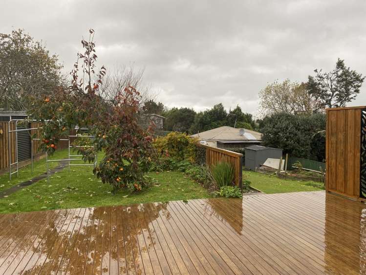 6 Osborne Avenue Morrinsville_8